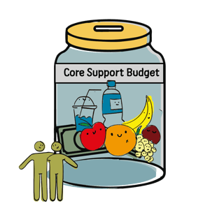 NDIS Plan Funded Supports - Core Supports Budget
